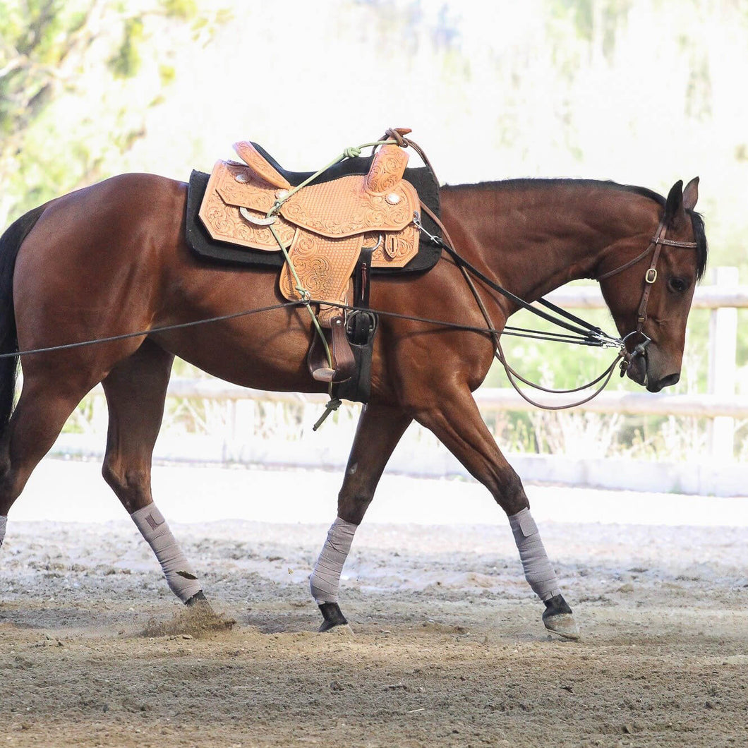 Mechanics N Motion Young Horse Starter Kit - 9 Piece Package